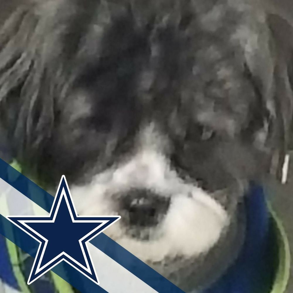 Meet your Posher, Kay